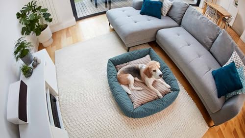 Ring Indoor Cam (2nd Gen), White with Ring Pet Tag