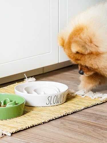 LE TAUCI PET Ceramic Slow Feeder Dog Bowls Small Breed, 0.6 Cups Dog Food Dish for Fast Eaters, Puzzle Bowl for Small Dogs and Cats,White
