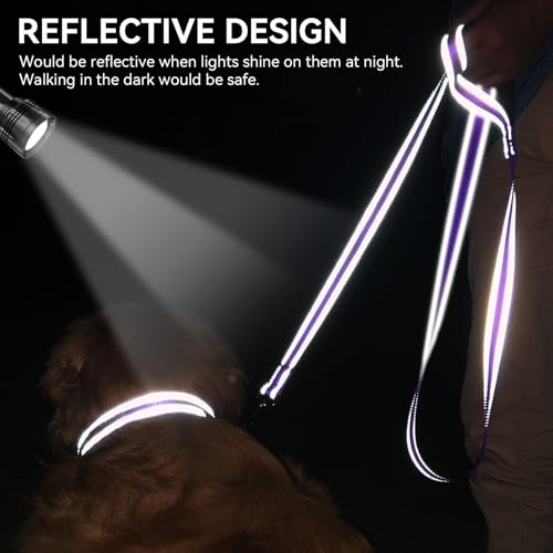 Joytale Dog Leash, 6 FT Double-Sided Reflective, Padded Handle Nylon Heavy Duty Leashes for Medium & Large Dogs Walking, Purple