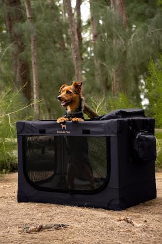 Noah & Paw Collapsible Dog Crate 42 Inch, XXL Dog Crate for XXL, XL, Large Breeds, Travel Kennel for Car, Includes Pet Mat for Pet Cage, 2 Storage Pockets, Handbag, 10mm Locking Zippers 42 * 31 * 31
