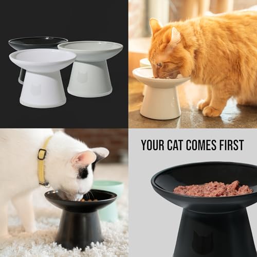 Necoichi 2pcs Extra-Wide Elevated Cat Food Bowls – BPA-Free Plastic Raised Bowls to Reduce Whisker & Neck Fatigue – Dishwasher Safe – Non-Slip, Anti-Vomiting Ergonomic Design(Classic)