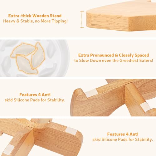 GUWINA Raised Slow Feeder Cat Bowl with Stand, 6.3'' Wide Ceramic Elevated Shallow Slow Eating Cat Bowl for Dry/Wet Food, Anti-Vomiting Pet Puzzle Feeder, Whisker Friendly, Dishwasher Safe (White)