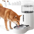 CZPET Automatic 7L Dog and Cat Water Dispenser with Stainless Steel Bowl Gravity Waterer,100% BPA-Free,Large Capacity and Drinking Area Noise-Free for Pets
