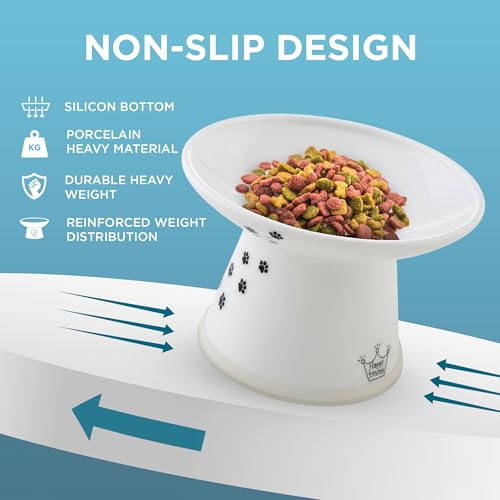 Necoichi Elevated Cat Food Bowl, Ceramic (Porcelain), Whisker-Friendly, Dishwasher & Microwave Safe, Non-Slip Silicone Base, Anti-Vomiting & Neck Fatigue (Cats, Extra Wide, 2-Cups Capacity)