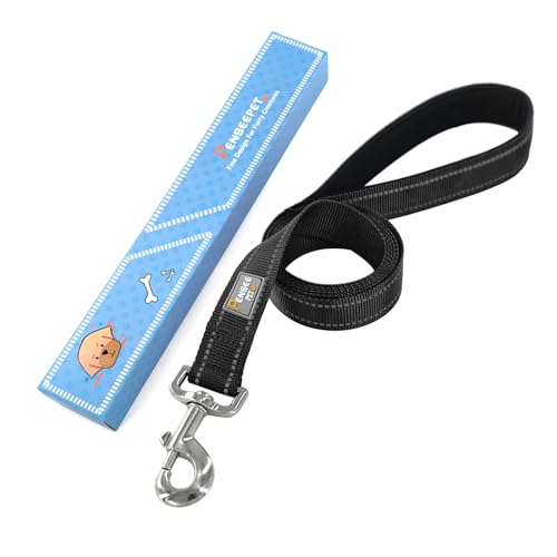 PenSeepet Dog Leash 6 FT Padded Handle Nylon Reflective Dogs Leashes for Medium Dogs Black