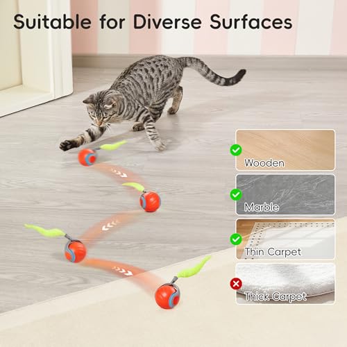 Potaroma Moving Ball Cat Toys with Feather Tail, Rechargeable 2025 New Interactive Toy for Indoor Cats Exercise, Smart Interactive Kitten Rolling Ball, Orange
