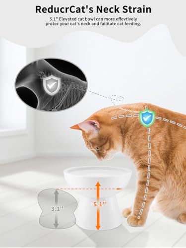 LoeJan Elevated Cat Food and Water Bowls Set, Extra Wide and Raised Ceramic Bowls, Anti-Vomit Whisker-Free Pressure Cat Feeder for Kittens to Adult Cats and Small Dogs (White, Water Bowl)