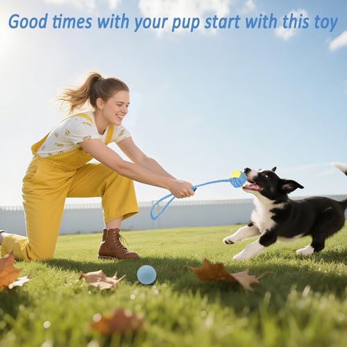 Beiker 20 Pack Puppy Chew Toys - Blue Dog Teething Toys for Puppies, Puppy Teething Rings and Ropes, Rubber Toy Bundle for Small Dogs, Cute Interactive Dog Balls for Small Breed