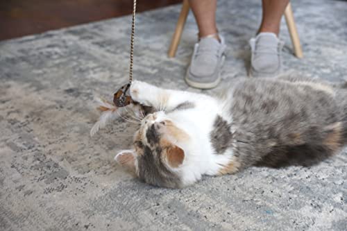 OurPet's Play-N-Squeak Teathered & Feathered Play Wand Cat Toy, for All Breed Sizes