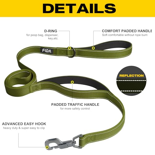 Fida 4 FT Heavy Duty Dog Leash with 2 Comfortable Padded Handles, Traffic Handle & Advanced Easy Snap Hook, Reflective Walking Lead for Large, Medium & Small Breed Dogs, Green