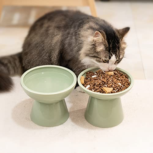 CEEFU 2 Elevated Ceramic Cat Bowls Extra Wide for Food & Water – Whisker Fatigue Shallow Food Dish, Lead & Cadmium-Free, Raised Height for Cats, Sage Green