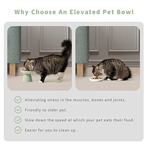 CEEFU 2 Elevated Ceramic Cat Bowls Extra Wide for Food & Water – Whisker Fatigue Shallow Food Dish, Lead & Cadmium-Free, Raised Height for Cats, Sage Green