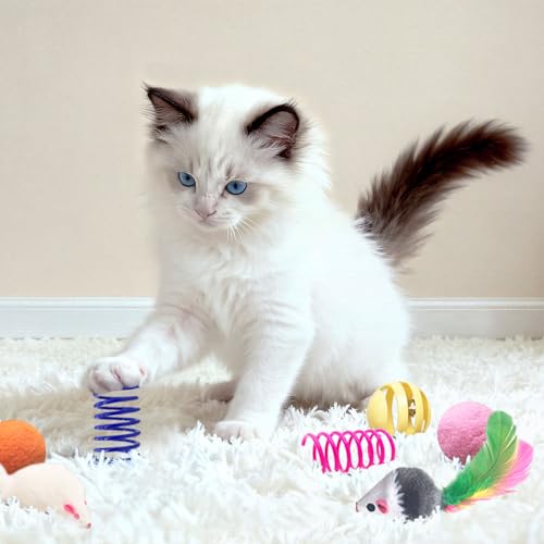 AGYM Cat Toys for Indoor Cats, 35 Packs Interactive Cat Toys Set with Colorful Springs, Mouse Cat Toy, Crinkle, Sisal, Pompom and Color Bell Balls for Kitten Toys