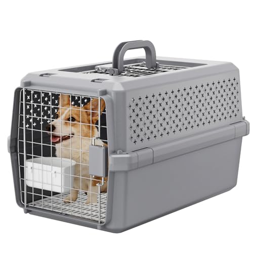 RIZZARI Pets Spree Hard-Sided Pet Travel Carrier, Portable Crate for Medium Dogs and Cats, Durable Plastic Carrier with Metal Door and Ventilation, Ideal for Air Travel, Trips and Outdoor Use