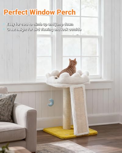 Happi N Pets Cat Tree, Cloud Cat Tower with Soft Bed, Cat Scratching Post & Pad with Larger Perch for Window Viewing, Small Cat Tree with Cute Toys, Bonus Catnip