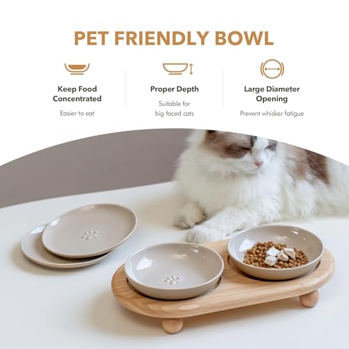 Havniva Cat Bowls Elevated 5.6” Ceramic Cat Bowl with Stand Whisker Friendly Shallow Cat Dishes, Cat Food & Water Bowl Set with Two Heights Options, Anti-Slip Raised Cat Food Bowl for Kitten