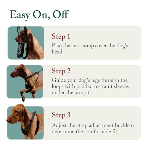 Sporn No Pull Dog Harness, Durable Nylon Mesh Harness for Small Dogs, No Choke Design, Padded Restraint Sleeves, Adjustable Fit, Easy On/Off, Ideal for Small Breeds, Blue