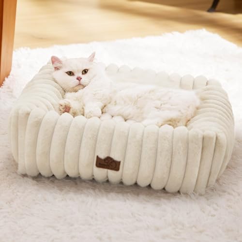 Bedsure ComfyFleece™ Cute Dog Bed for Small Dogs & Cats - Washable Furry Cat Beds, Rectangle Orthopedic Corduroy Fleece Puppy Beds with Removable Zipper Cover, 20x19x6inches, Cream