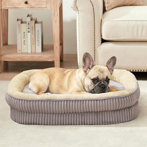 DEBANG HOME Orthopedic Dog Bed for Medium Dogs Breeds, High Density Egg Crate Foam Dog Sofa Beds,Oval Kennel Bed, Pet Couch Bed with Four Sided Bolster, Removable Washable Cover& Non-Slip Bottom