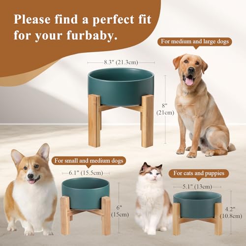 Elevated Ceramic Cat Bowl - Cat Food Bowl with Bamboo Stand - Raised Dog Dish for Puppies - Anti Vomiting, Stress Free - 13.5 oz / 400 ml - White