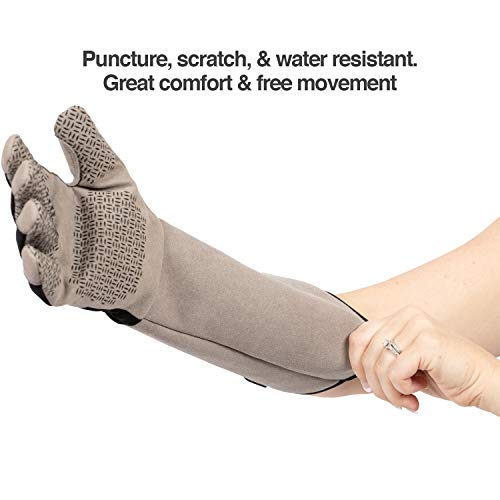 PetFusion Multipurpose Pet Glove for Grooming, Trips to Vet, Handling. [Puncture & Scratch Resistant, Water Resistant]. 12 Month Warranty for Manufacturer Defects Grey