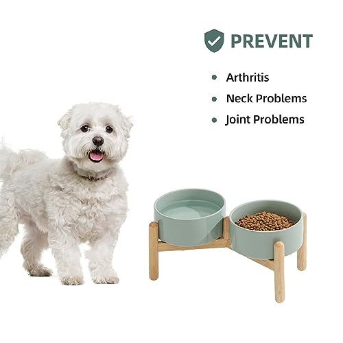 Havniva 6.1inch Ceramic Raised Dog Bowl with Stand, Double Dog Bowls Elevated for Small and Medium Breed Dog Food and Water Bowl Set Non-Slip Dog Dish Large Capacity Feeding Pet Water Bowl