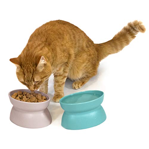 Kitty City Elevated Cat Bowls (Set of 2), Whisker-Friendly Raised Cat Food & Water Dishes, Modern Pedestal Design, Dishwasher Safe, 6.5 oz Each – Teal & Light Pink