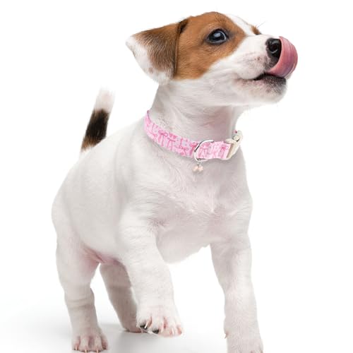 Faygarsle Cute Pink Bow Pattern Dog Collar for Summer Spring Design for Small Medium Large Dogs, M