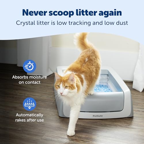 PetSafe ScoopFree Self-Cleaning Cat Litterbox - Never Scoop Litter Again - Hands-Free Cleanup with Disposable Crystal Tray - Less Tracking, Better Odor Control - Includes Disposable Tray