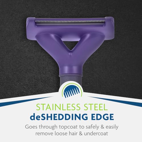 FURminator deShedding Tool For Medium to Large Cats With Short Hair, Removes Loose Hair From Shedding