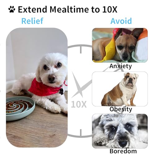 Bifeaw Slow Feeder Dog Bowls, Dishwasher Microwave Safe Silicone Puppy Puzzle Bowl with Non-Slip Design for Eating (Grey Green)