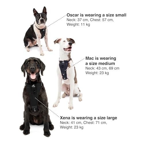 Kurgo Enhanced Strength Tru-Fit Dog Car Harness - Pet Travel Safety Harness - Crash Test Certified Fit - Five Point Adjustment - Secure Buckle - Padded Chest - Black - Medium