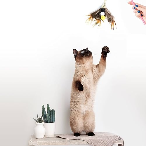 Hokoad Cat Insect Feather Toys Replacement Cat Toy Wand Refills, 6 Pieces Natural Insect Cat Toy Feathers Refill, Interactive Cat Teaser Wand Attachments, with Bell