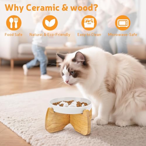 GUWINA Raised Slow Feeder Cat Bowl with Stand, 6.3'' Wide Ceramic Elevated Shallow Slow Eating Cat Bowl for Dry/Wet Food, Anti-Vomiting Pet Puzzle Feeder, Whisker Friendly, Dishwasher Safe (White)