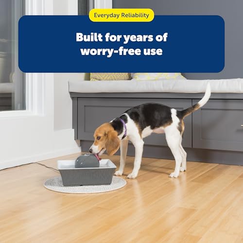 PetSafe Drinkwell Ceramic Pet Water Fountain - Quiet Automatic 70oz Dispenser for Cats & Dogs with Filters - Dishwasher Safe Square Design
