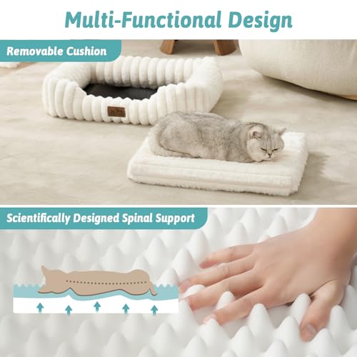 Orthopedic Dog Bed for Small Dogs & Cats - Washable Rectangle Pet Bed with Anti-Slip Bottom, Soft Calming Cat & Puppy Bed for Indoor Pets (25"x21"x6", Cream)