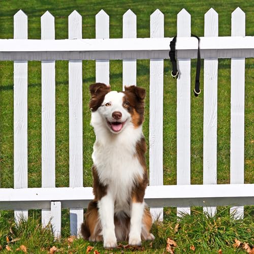 PetSafe KeepSafe Break-Away Collar 1 in Wide, Medium, Red Prevent Collar Accidents for Your Dog or Puppy Improve Safety, Compatible with Leash Use, Adjustable Sizes