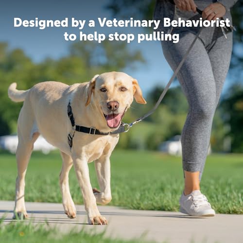 PetSafe Easy Walk No-Pull Dog Harness - Ultimate Harness to Help Stop Pulling - Pull-Free Walks - Take Control & Teach Better Leash Manners - Patented Martingale Loop Design - Black, Large