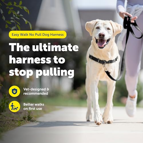 PetSafe Easy Walk No-Pull Dog Harness - Ultimate Harness to Help Stop Pulling - Pull-Free Walks - Take Control & Teach Better Leash Manners - Patented Martingale Loop Design - Black, Large