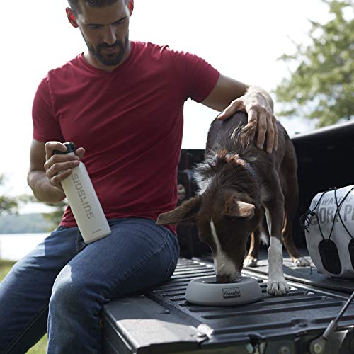 Franklin Pet Supply Co. Spill Proof Pet Bowl - No Splash Travel Water + Food Dish for Dogs + Cats - Portable - 16 oz. - BPA Free