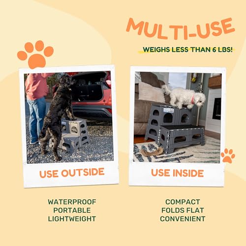 Bee Neat 2 Step Folding Dog Stairs & Ramp for Your Pet - Indoor Outdoor Foldable Pet Stairs for High Bed, Car, SUV – Collapsible Step Stool Ladder Supports 300lbs – New Carpeted Design