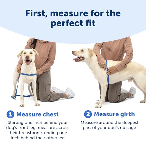 PetSafe Easy Walk Deluxe Dog Harness, No Pull Dog Harness – Perfect for Leash & Harness Training – Stops Pets from Pulling and Choking on Walks – Medium/Large, Steel