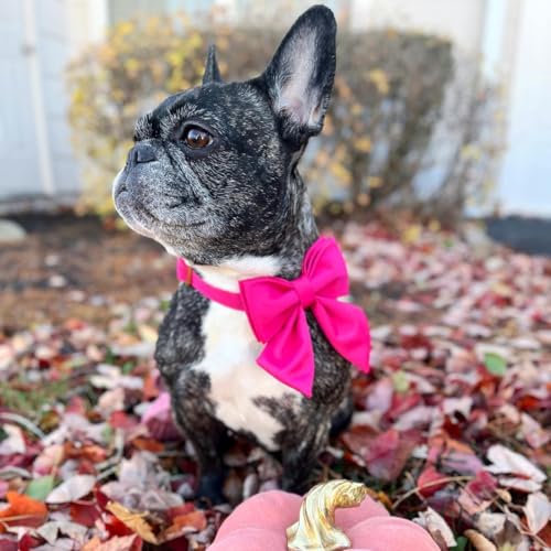 Maca Bates Hot Pink Dog Collar with Cute Rose Red Solid Sailor Bow Tie,Large Girl Boy Dogs,Girly Adjustbale Durable Breakaway Soft Collars with Bowtie for Female Male Puppy,Pet with Metal Buckle