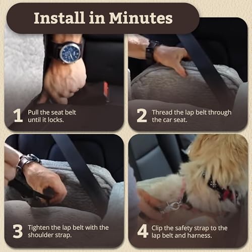 Snoozer Lookout I Car Seat - Dog Car Seats for Small Dogs, Puppy Booster Bed for Small Sized Pets up to 18 Lbs, Elevated, Washable - Size S, Black Quilted