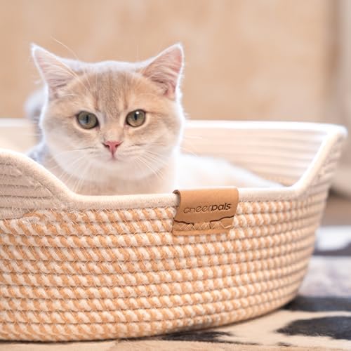 CHEERHOME PETS Cat Bed Basket with Cushion, Cotton Rope Woven Pet Bed for Indoor Cats Couch, Stimulicat Cat Bed Handwoven Breathable, All Season Universal (White)