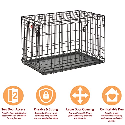 MidWest Homes for Pets Intermediate LifeStages Double Door 36-Inch Folding Dog Crate, Enhanced Security, Includes Leak-Proof Pan, Divider Panel, Handle, Rubber Feet