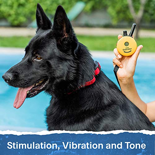Educator ET-300 Mini E Collar for Dog Training with Remote - 1/2 Mile Range, Waterproof, 100 Blunt Stimulation Levels, Tone or Vibration Mode, Night Light Tracking for Small, Medium & Large Dogs