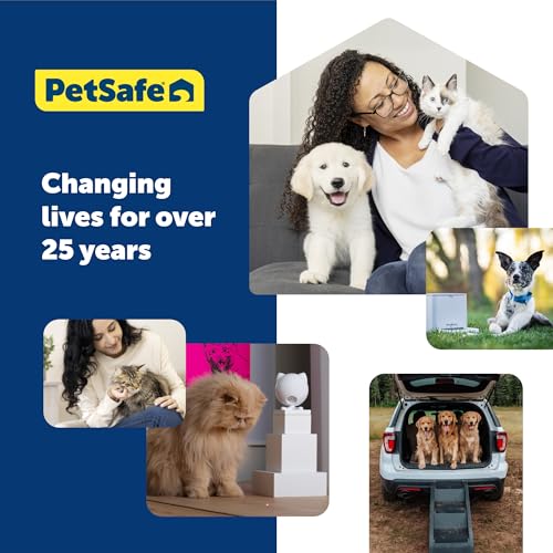 PetSafe KeepSafe Break-Away Collar 1 in Wide, Medium, Red Prevent Collar Accidents for Your Dog or Puppy Improve Safety, Compatible with Leash Use, Adjustable Sizes