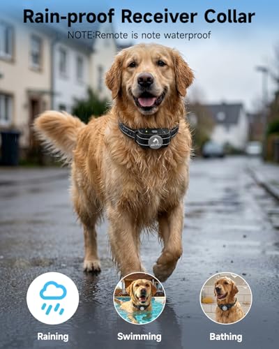 PATPET Dog Training Collar Shock Collar with Remote - 3 Training Modes, Beep, Vibration and Shock, Up to 1000 ft Remote Range, Rainproof for Small Medium Large Dogs