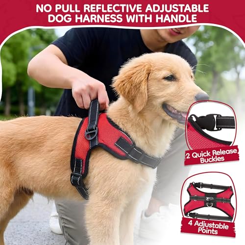 Copatchy No Pull Reflective Adjustable Dog Harness with Handle- Comfortable Soft All Weather Mesh, Easy On Puppy Harness for Small Medium and Large Dogs (Red) Small